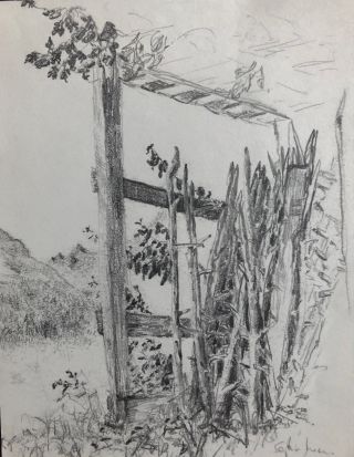Foto 10.08.20, 17 22 01