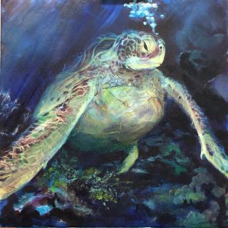 Wasserschildkröte